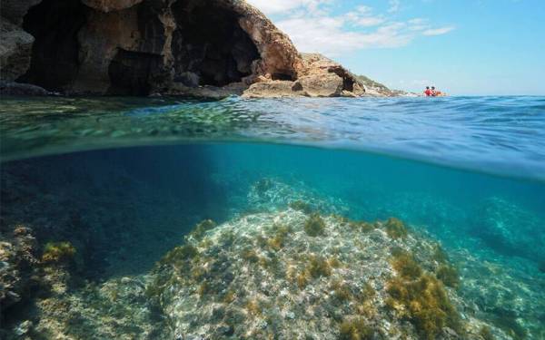 Excursión a las calas más bonitas: Cala Ambolo, cala Sardinera y cala Portixol - Imagen 3